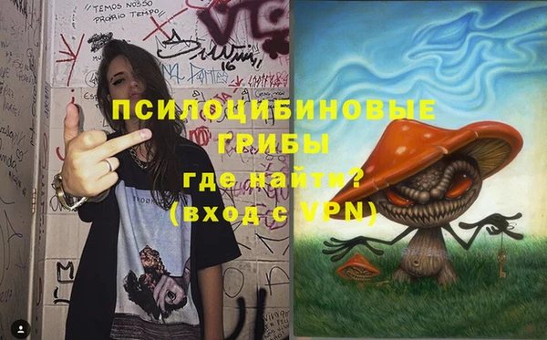 mix Бородино